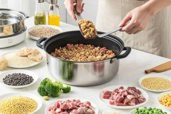 Homemade dog food recipes