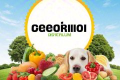 Best organic dog food brands