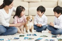 How to choose the right pet for your family