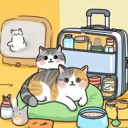 Packing essentials for traveling with a cat