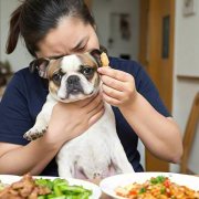 What should I do if my pet refuses to eat?